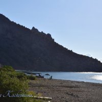 Природа Крыма :: Amazing Cosmea