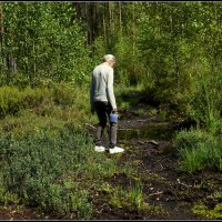 за дарами природы.... :: Aleksandr Gal