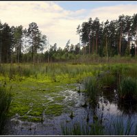 *** :: Aleksandr Gal