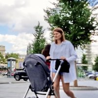 *** :: Владимир Захаров