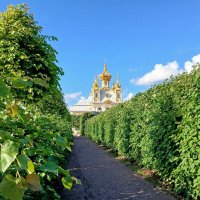 Верхний сад. :: Лия ☼