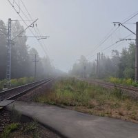 Туманное, утро... :: Станислав Мутовин