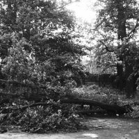 ПОСЛЕ БУРИ :: Виктор Никитенко ПОСЛЕ БУРИ :: Виктор Никитенко