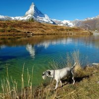 das Matterhorn :: Elena Wymann