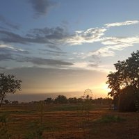 Вечером :: svk *