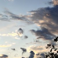 Хорошего вечера :: Андрей 