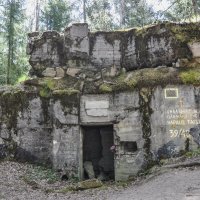 Остатки линии Маннергейма в Ленинградской области :: Татьяна Машошина