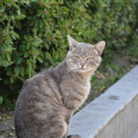 В парке Горького в Москве :: Татьяна Машошина В парке Горького в Москве :: Татьяна Машошина