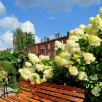 во дворе одного ресторанчика :: светлана льдокова