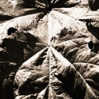 Назва. отсу. :: Денис Безногов