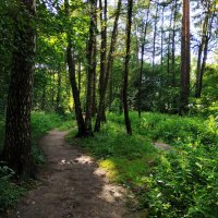 Из недопоказанного вчера :: Андрей Лукьянов