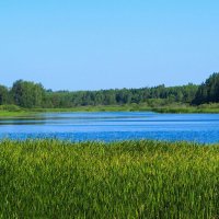 Смоленские озёра (репортаж из поездок по области). :: Милешкин Владимир Алексеевич Смоленские озёра (репортаж из поездок по области). :: Милешкин Владимир Алексеевич