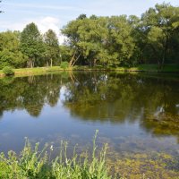 Большой пруд :: Александр Буянов