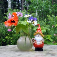 Под охраной :: AleksSPb Лесниченко