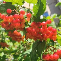 ,,, :: Сергей Тимоновский