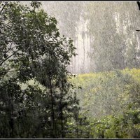 Дождливо.... :: Aleksandr Gal