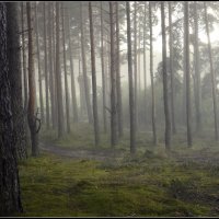 *** :: Aleksandr Gal