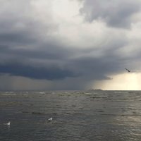 Надвигается гроза :: Наталья Герасимова Надвигается гроза :: Наталья Герасимова