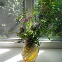 Летний букетик :: Наталья 