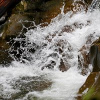 Бурный поток :: Татьяна Тюменка