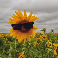 пейзаж :: סּﮗRuslan HAIBIKE Sevastyanovסּﮗסּ