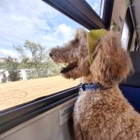 *** :: Владимир Захаров