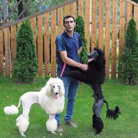 почти цирк :: Олег Лукьянов почти цирк :: Олег Лукьянов