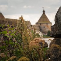 В поисках артефактов :: Магомед .