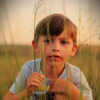 Кто это там? :: Анатолий 