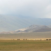 Был жаркий день :: LudMila 