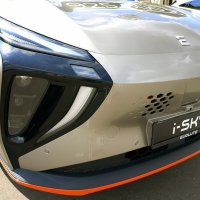 Автомобильный портрет :: Татьяна 