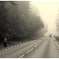 Туман на дороге :: Aleksandr Gal