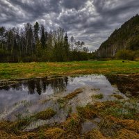 Такая разная весна. :: Юрий кот