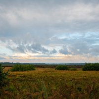 Утро в дороге. :: Валерий 