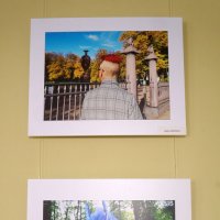 фотовыставка "Обитатели Летнего сада" :: zavitok * фотовыставка "Обитатели Летнего сада" :: zavitok *