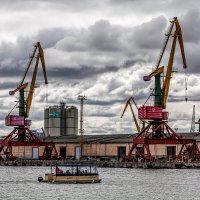 Калининград :: Дмитрий 