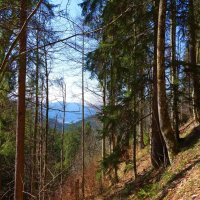 Бавария... :: Галина Бавария... :: Галина