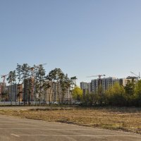 Новостройки :: Татьяна Машошина