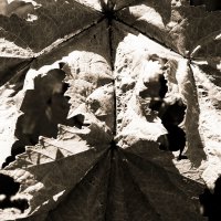 Назва. отсу. :: Денис Безногов