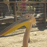 Хайфа 2025г :: ujgcvbif 