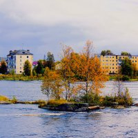 Осень на реке Выг :: Сергей Кочнев