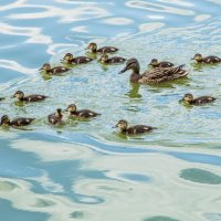 3904 :: Alex . 3904 :: Alex .