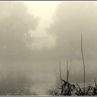 на озере :: Aleksandr Gal