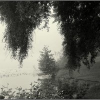 Рыбачок :: Aleksandr Gal