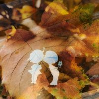 Осенний поцелуй :: Любимова Ольга 