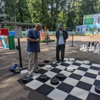 Турецкие шашки. Играю чёрными :: Дмитрий Никитин