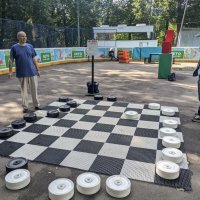 Турецкие шашки. Играю чёрными :: Дмитрий Никитин