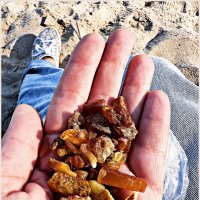 Янтарики. :: Валерия Комова