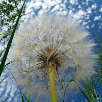 Ну что, пора уже в полёт! :: Андрей Заломленков Ну что, пора уже в полёт! :: Андрей Заломленков