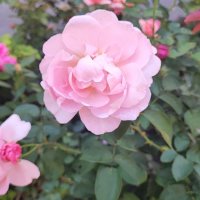 ,,, :: Сергей Тимоновский